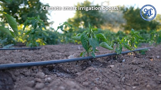 SADC Regional Hand in Hand Initiative | SADC