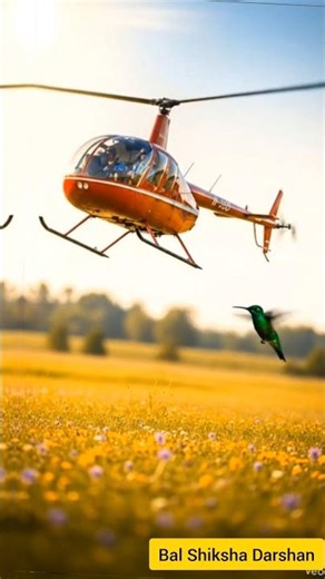 🤔क्या आप जानते हैं? दुनिया की सबसे छोटी चिड़िया |Smallest Bird in the World | #shorts #facts