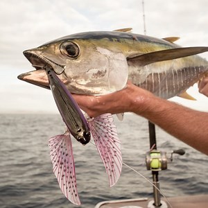 300K views · 2.4K reactions | Tuna exploding on the Slipstream Flyer...