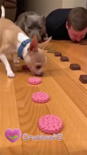 this is his villain origin story #meme #oc #dog #crushonai #pov