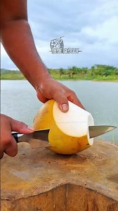 cool peeled orange coconut