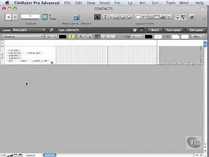 FileMaker Tutorial - 105 - Adjusting Labels