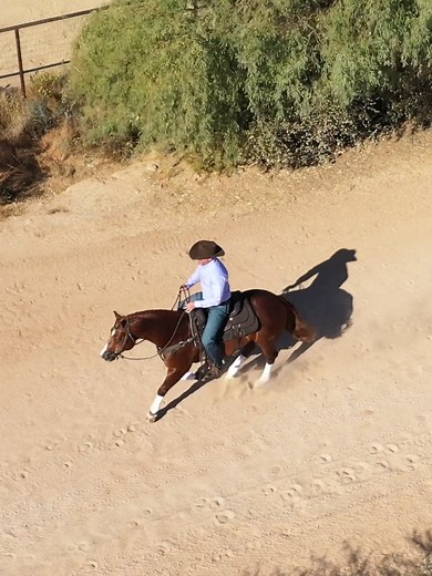 Cómo evaluar el entrenamiento de un caballo