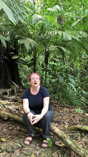 Why did the Maya choose the rainforest?