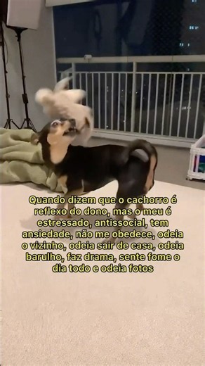 UÉ 🤷🏻‍♂️