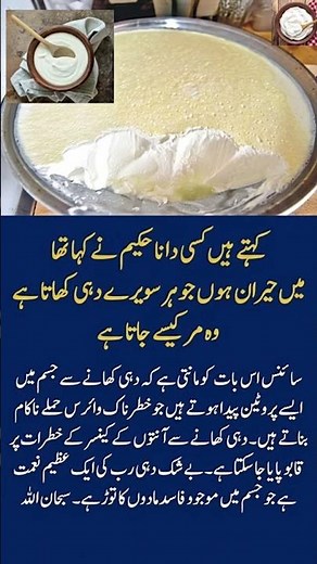 Why You Should Eat Yogurt Every Morning! ☀️