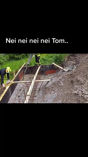 The Langen ́s (@thelangens)’s videos with original sound - The Langen ́s