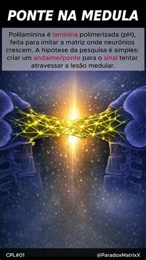 PONTE NA MEDULA: o que é Polilaminina? | CÓDIGO #01 @ParadoxMatrixX
