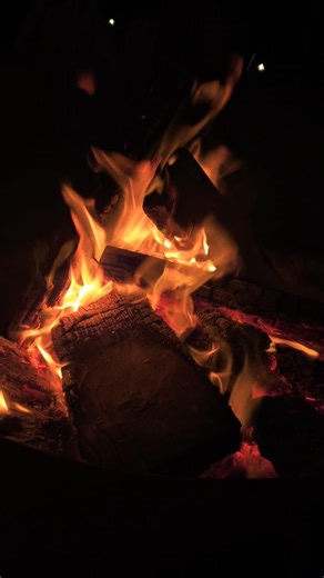 Cozy Night by the Fire: Nature Sounds & Relaxation #campfire #asmr #fire #whitenoise #fireasmr