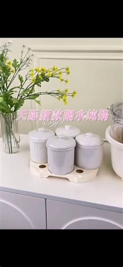 天际（TONZE） 电炖锅电炖盅煲汤锅隔水炖盅电蒸锅炖汤锅隔快炖锅 养生燕窝炖盅 乳白色 2.5L 丨蒸笼款丨五胆