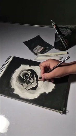 charcoal rose #black background #charcoal #drawing