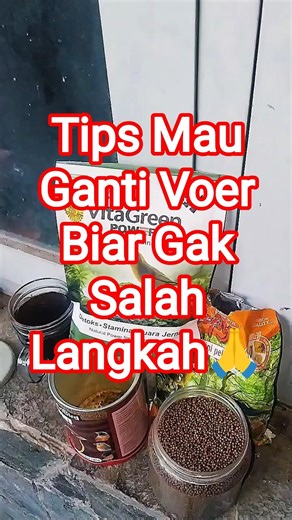 Tips Mau Ganti Voer Burung Biar Gak Salah Langkah 👍