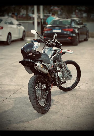 Skua Silver: Price and Maximum Speed Insights