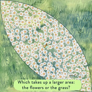 Happy Pi Day! What better way to celebrate than by taking on our special Pi Day challenge? Can you solve this using π? Give it a try and share your answer below! | Russian School of Mathematics