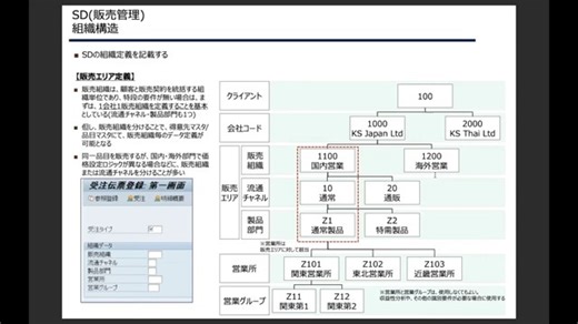 ERPチャンネル【SAP SD】2回目 SAP SDモジュールの組織構造説明