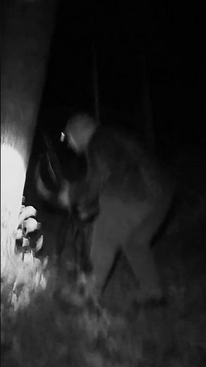 The Team Runs For Their Lives | Mountain Monsters | Travel Channel