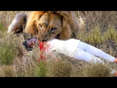 Lion attack man in forest | Lion hunting | Lion hunting story part 1