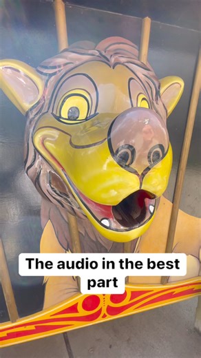 9.3K views · 82 reactions | Leo The Paper Eating Lion at Lincoln Children’s Zoo #zoo #papereater | In The Loop | Facebook