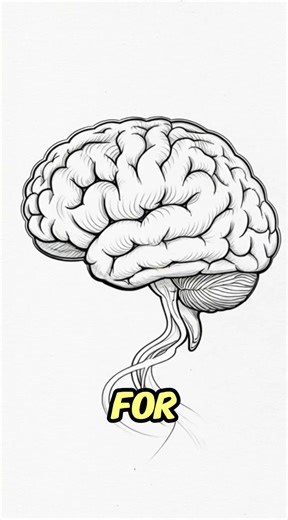 The Brain Trick That Makes Learning Easier After 50