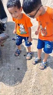 লাল কাঁকড়া কে ছেড়ে দেওয়ার পরে কতো speed এ দৌড়ায় দেখো #youtubeshorts #funny