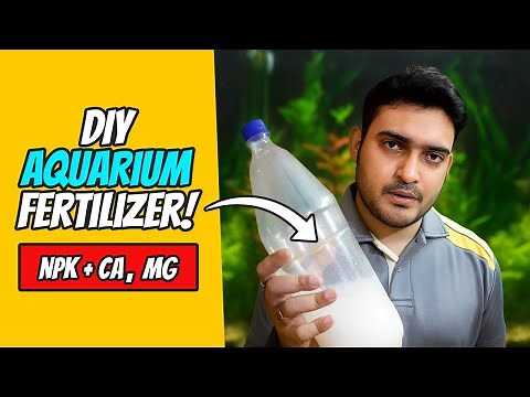 Best DIY Aquarium Fertilizer for Plants | Easy Liquid Formula!