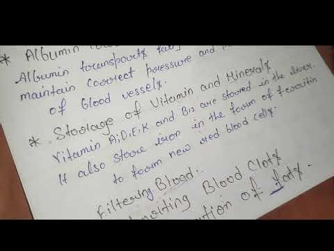 Function of LIVER ll hindi ll ✅ with notes