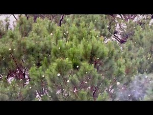 Artificial Snowball in Baguio City