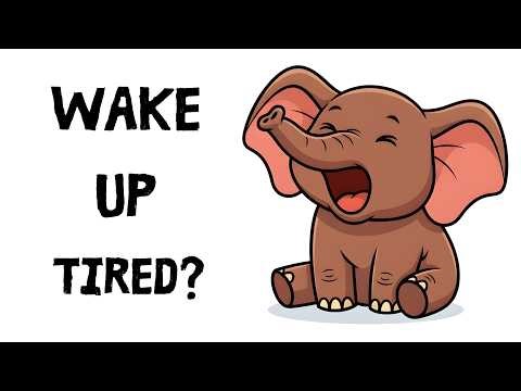 Elephant Sleeps 8 Hours… But Still Feels Tired (Here’s Why)