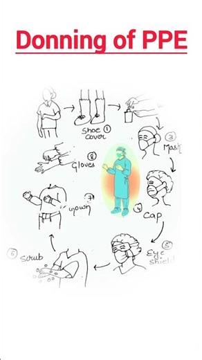 What are the steps for donning PPE?//What is donning in PPE?//Sequence of donning PPE