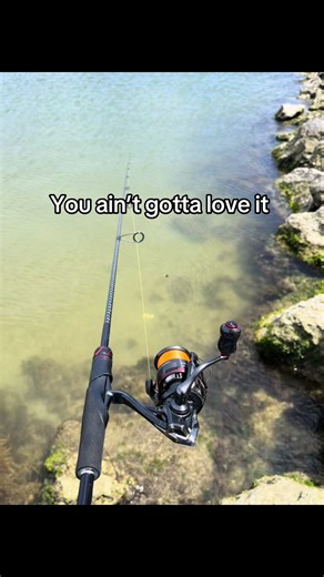 Big Bream Scared Away by Blowies Encounter