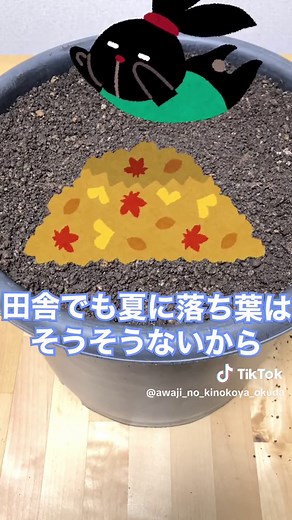 家庭で原木マイタケ栽培の挑戦