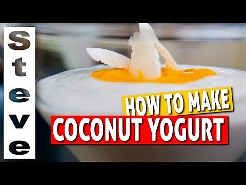 HOW TO MAKE COCONUT YOGURT - Homemade Probiotic Yogurt