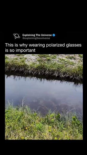 778K views · 8.3K reactions |  #reels #explore #memes | Explaining Everything | Facebook