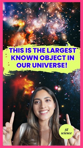 Dr. Harini Bhat (PharmD) | Science Storyteller on Instagram: "Astronomers discover the largest known object in our universe. It spans 1.4 billion light years across and contains nearly 70 galactic superclusters! Learn more about Quipu here: https://arxiv.org/abs/2501.19236 #space #astronomy #science #galaxy If you like deep dives into science & history then follow @tilscience for more and our YouTube for even more cool videos!"
