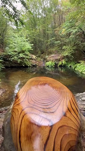 Outdoor Cooking Recipes for Survival Enthusiasts