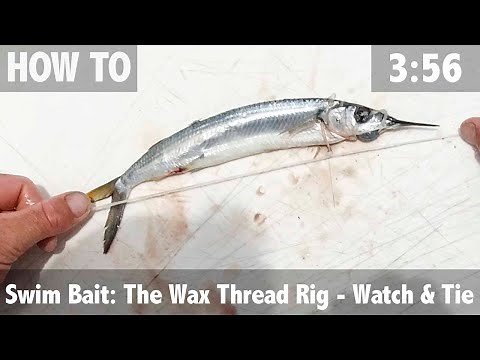 Swim Bait: The Wax Thread Rig - Watch & Tie