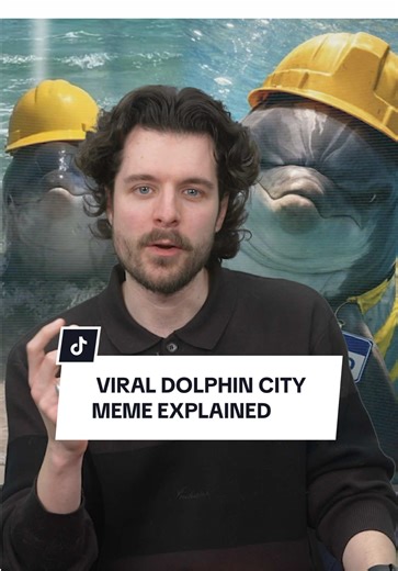 Viral Dolphin City Meme Explained