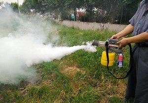 [Hot Item] Handheld Portable Gas Small Mini Fogger Machine Mini Diesel Powered Mosquito Fog Machine /Chemical Sprayer/for Garden