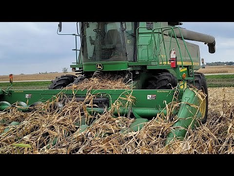 Corn Harvest