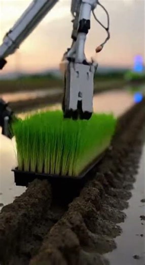 Modern Agricultural Innovation Boost Crop Yields Fast #shorts #farming #agriculture