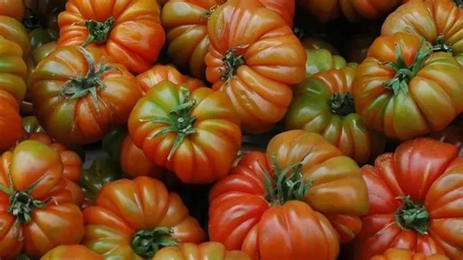 10 produce picks farmers say they always save for their own tables