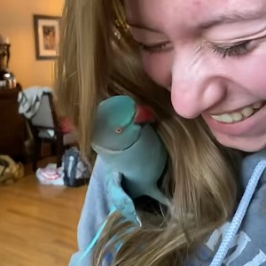 1.2M views · 54K reactions | Affectionate bird welcomes his best friend back home with kisses 列殺 | Furry Tails | Facebook