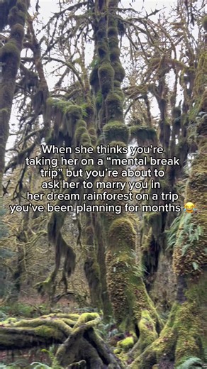 The Best Trip Ever: A Memorable Proposal