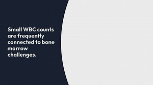 The World baseball classic schedule Diaries