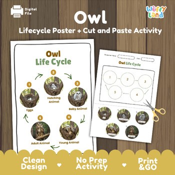 Owl Life Cycle Chart & Cut and Paste Activity | Birds of Prey Biology