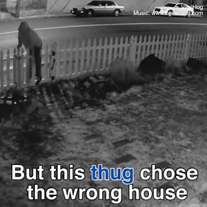 1.6M views · 185 reactions | This parcel thief doesn't know what's about to hit him! | Daily Mail Video | Facebook