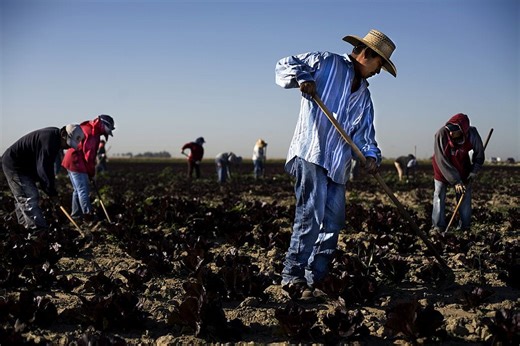 As Anti-ICE Protests Rage, Illegal Alien Labor Abuses Thrive - Liberty Nation News