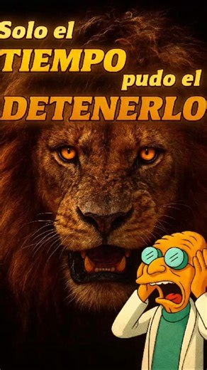 SCARFACE: El verdadero Rey León 🦁👑 Scarface no fue un león cualquiera: fue el macho más famoso del Masai Mara, reconocido por su cicatriz en el ojo derecho y por un reinado que superó el promedio de cualquier león salvaje. Nació en 2007 y, junto a sus hermanos Morani, Sikio y Hunter, formó la coalición conocida como los Cuatro Mosqueteros, un grupo que dominó vastas extensiones de territorio en Kenia. Scarface murió en 2021, a los 14 años, no bajo las garras de otro depredador, sino vencido ún