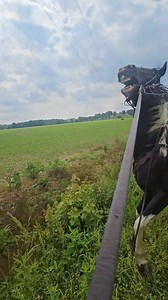 7.3K views · 141 reactions | Seeing a loud dump truck for the first...