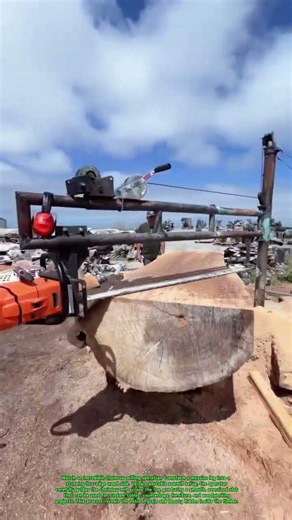 Massive Tree Slab Cutting Process | Chainsaw Mill Creates Giant Live Edge Lumber